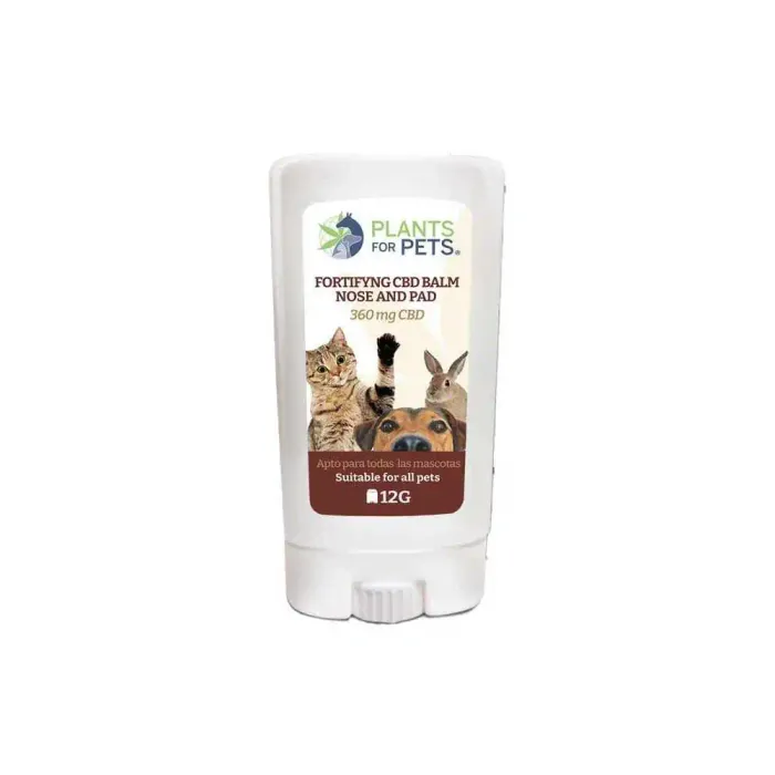 Baume CBD fortifiant animaux