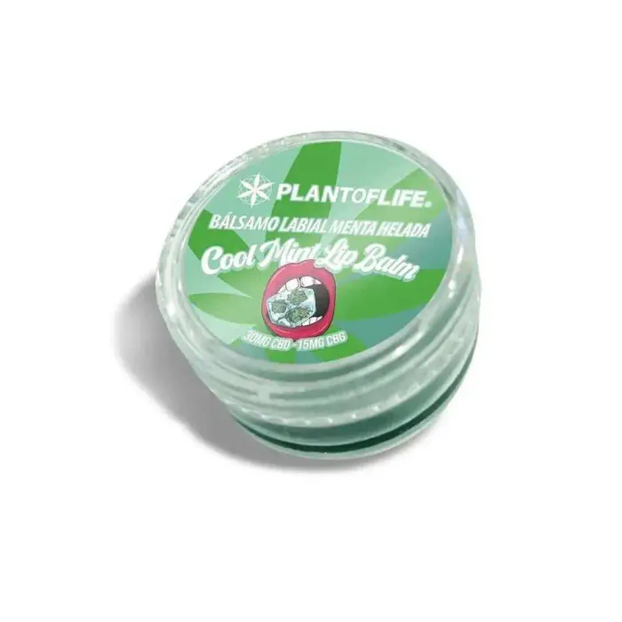 Baume lèvres CBD & CBG menthe