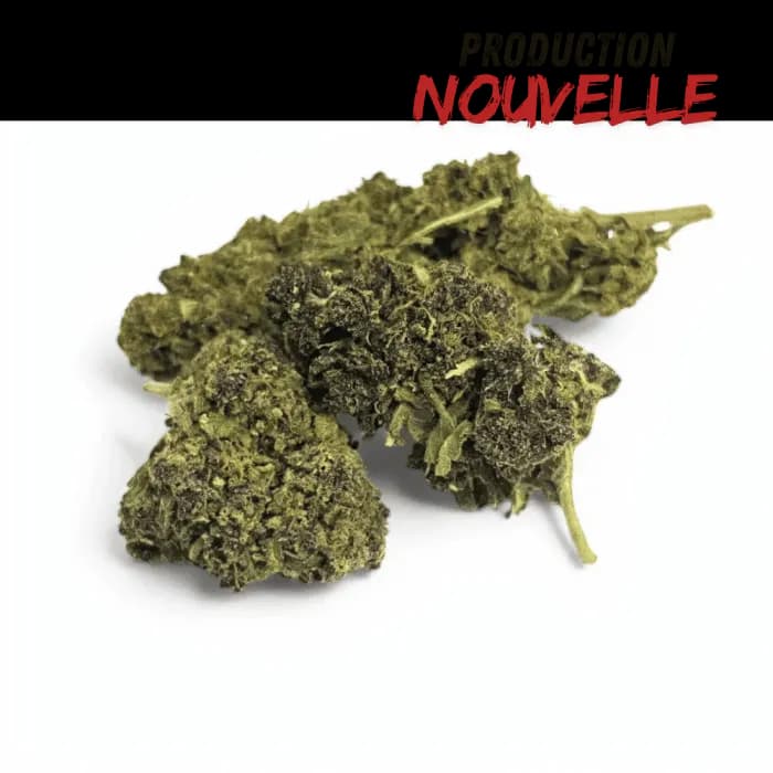 Fleur CBD Saphire Hybride Indoor