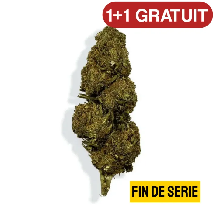Fleur de CBD - BLUEBERRY