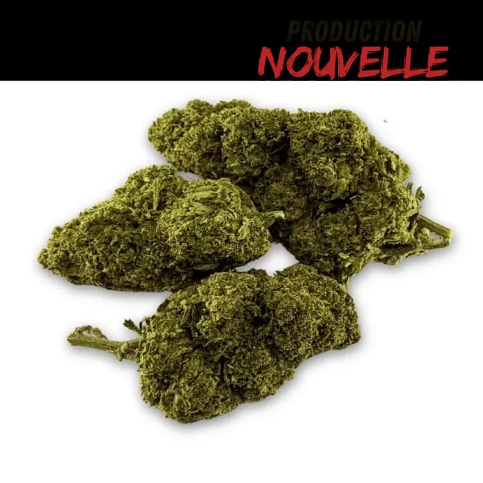Fleur de CBD Green Crack Indoor Edition Limitée