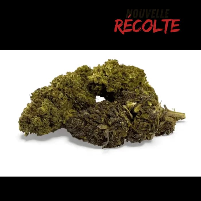 Fleur de CBD Mandarine Haze Greenhouse