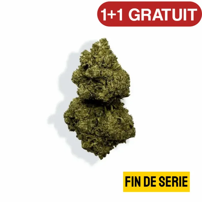 Fleur de CBD - RAINBOW KUSH