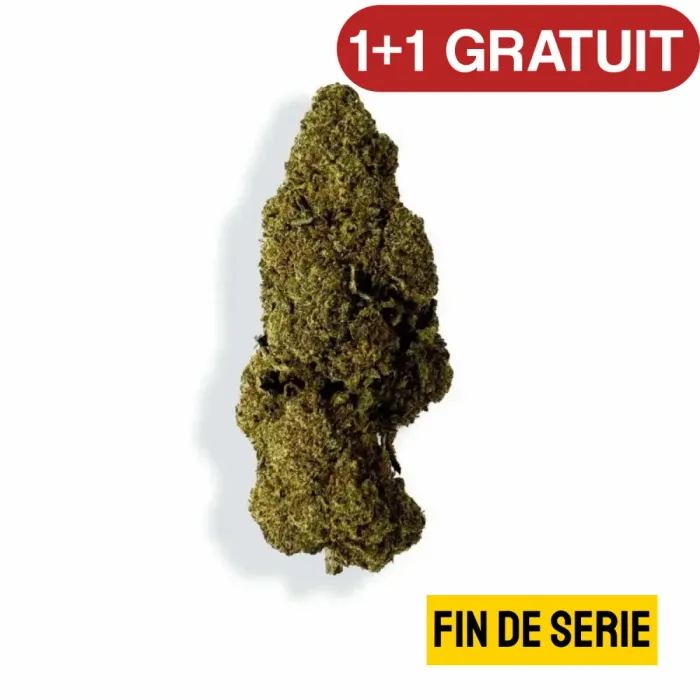 Fleur de CBD - RASPBERRY HAZE