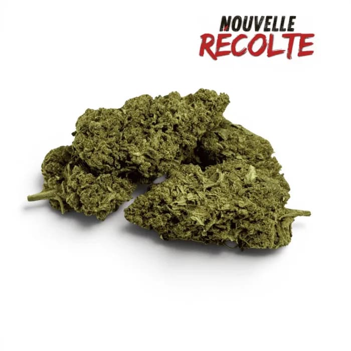 Fleur de CBD Super Silver Haze Indoor
