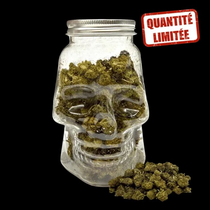 Fleurs CBD Small Bud Skull 25GR - Édition Limitée Halloween