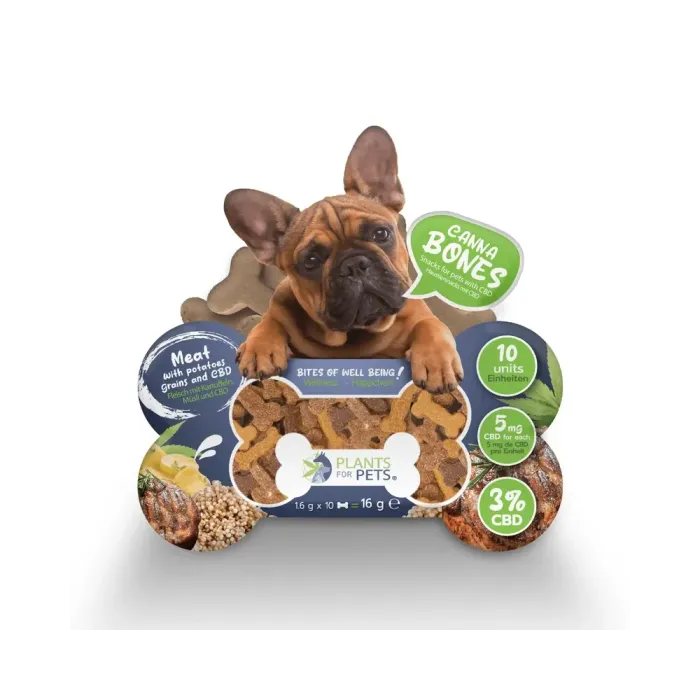 Friandise au CBD chien